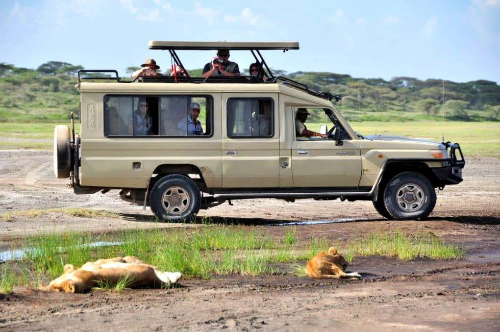 5 Days Masai Mara/ L. Nakuru Camping Safaris