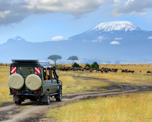 6 Days Masai Mara/ Nakuru/ Samburu Camping Safaris