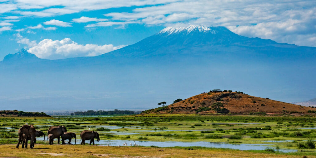 7 Days Lake Manyara / Ngongoro / Serengeti / Tangire Lodge Safaris