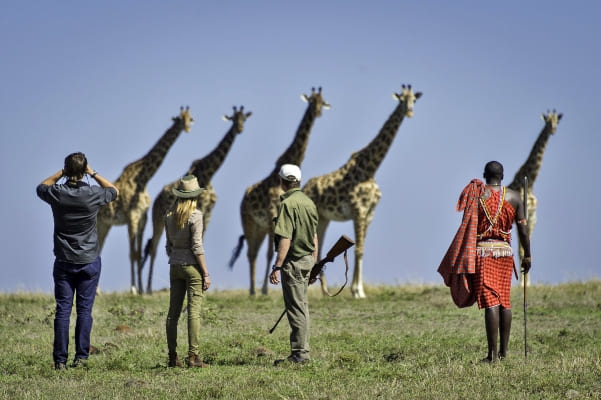 6 Days Lake Manyara / Ngongoro / Serengeti Camping Safaris